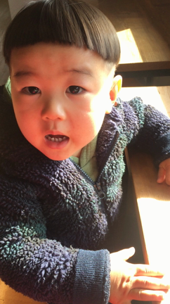 このごろ。の記事動画