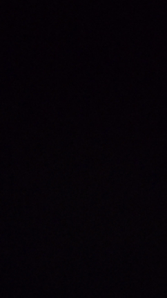 今日はの記事動画