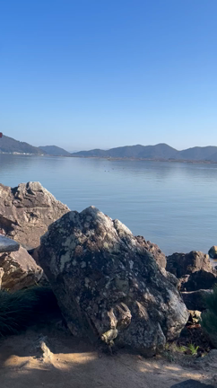 2024年本日営業開始です♪　本年もどうぞよろしくお願い致します。の記事動画