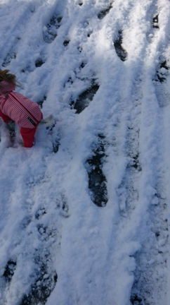 とうとう…の記事動画