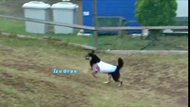 Hang aroundの記事動画