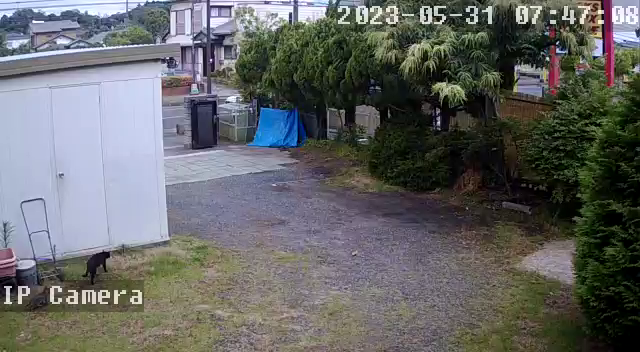 そんなに、居心地が良いのか？の記事動画