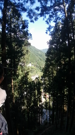 夏休みの思い出②（ねぇちゃん 2022夏 編）の記事動画