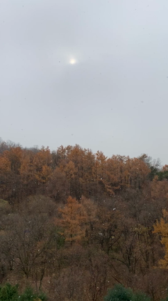 初雪見整体~の記事動画