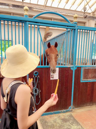 NASU FARM VILLAGE♡の記事動画