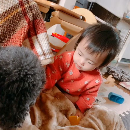 断乳１日目の記事動画