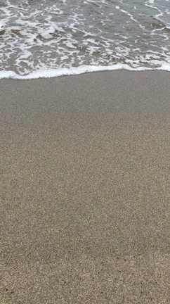 移転します。の記事動画