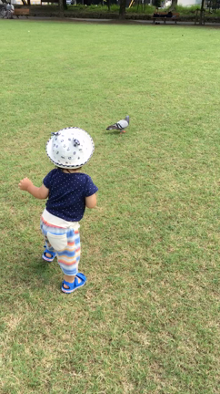 7月15日の記事動画