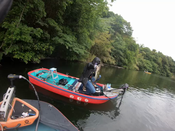 亀山ダムで釣りまくるしの記事動画