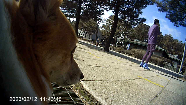 みるくカメラの記事動画