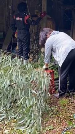 お庭が綺麗になったよ！！の記事動画