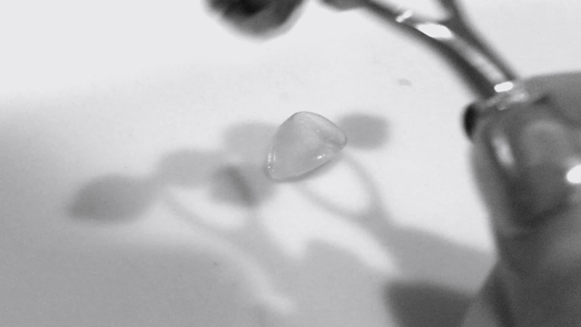 シテラローラーの秘密♡1秒間に1兆回の○○の記事動画