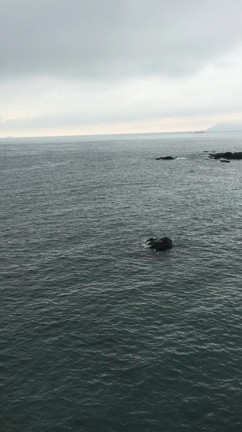 四国初上陸の記事動画