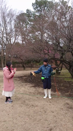 ほーく。の記事動画