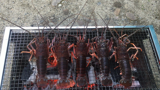 三が日終了の記事動画