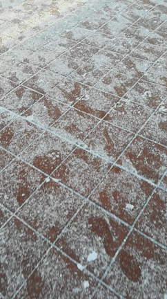 遠征②の記事動画