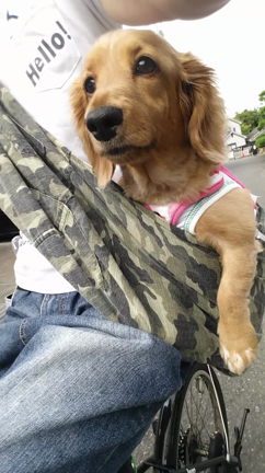 もーちょっと……の記事動画