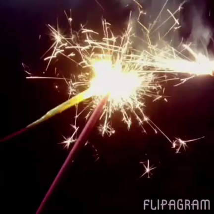 2015夏のうさぎのしみじみ…の記事動画