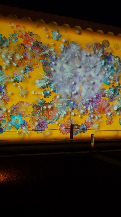 京都でパワーチャージ④♥二条城桜まつり  NAKED FLOWERS 2022  の記事動画