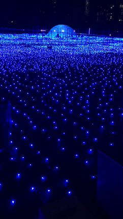 イルミネーション@六本木の記事動画