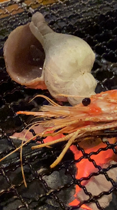 海の幸〜北の海鮮炙り　ノアの箱舟〜の記事動画