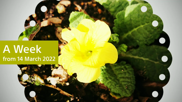 今日は世界気象の日&晴れの日が好き〜d(^-^)の記事動画