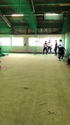 見ることもの記事動画