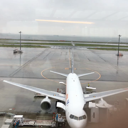 お上りさん♪の記事動画