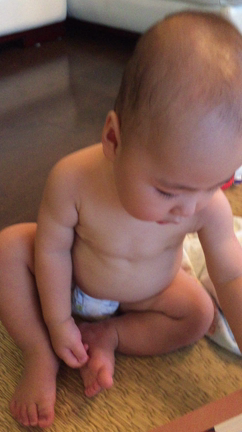 ビデオ。、お返事はーい。の記事動画