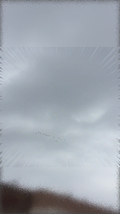 日本脳炎 第1期 初回2回目 予防接種の記事動画