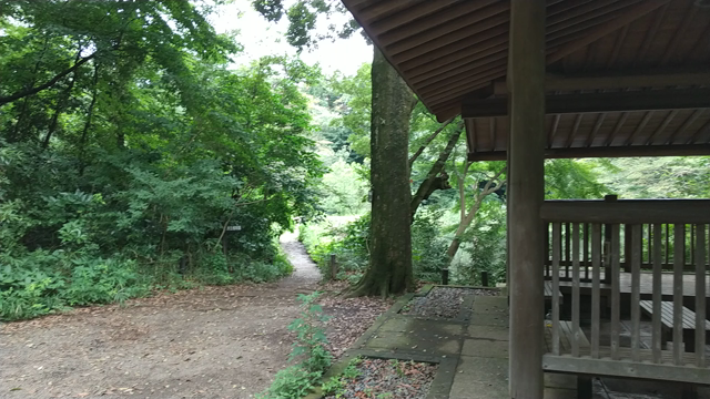 今日のお散歩。の記事動画