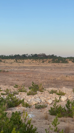 再び‼︎ BTS 「Permission to Dance」のMV撮影地への記事動画