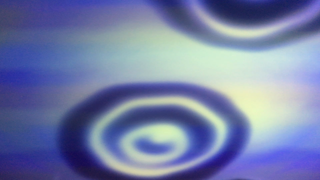 flower by nの記事動画