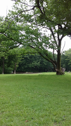 休日２の記事動画