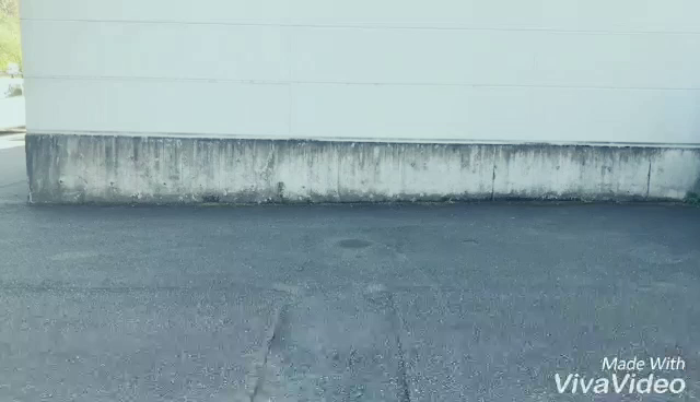 あと９日かぁ。の記事動画