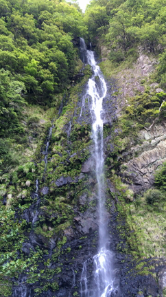 簡単そうで難しいことの記事動画