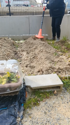 ☆マキちゃんfarm始動の記事動画