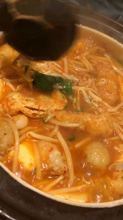 こんばんわんの記事動画