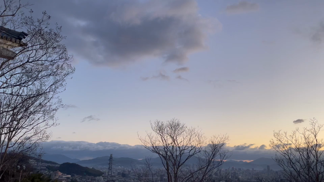 朝散歩最高ー‼︎の記事動画