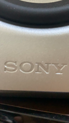 今は亡き祖父が彫刻した弁財天（べんざいてん）の記事動画