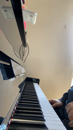 天気が良かったのでの記事動画