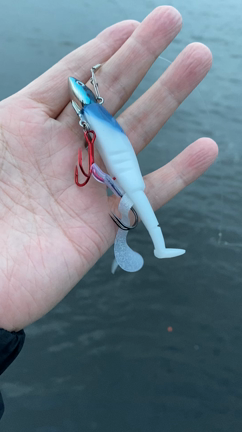 秋ですね♪の記事動画