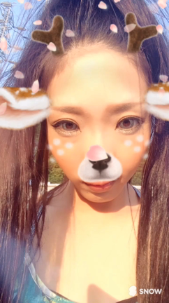 鹿しかすることないのよ。の記事動画