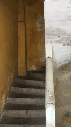 ホーチミン5日目の記事動画