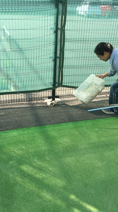 台風のせいかな⁇……の記事動画