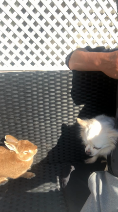 ステイホームなゴールデンウィークの記事動画