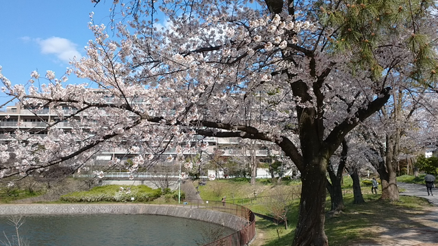 ☆ママ、ごめんねの記事動画