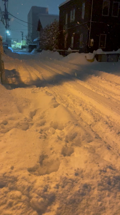 盛岡大雪だぁ！豚ハツキムチ焼きうどんで。2.1晩酌の記事動画