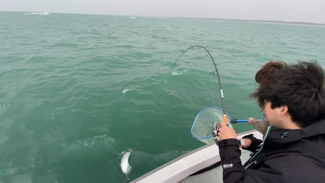 ナブラ❗❗爆❗❗の記事動画