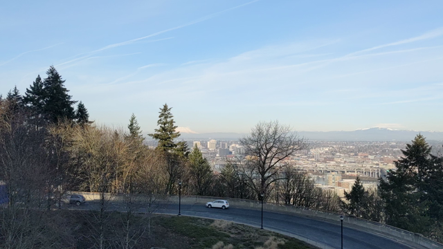 かかりつけ医とのURGENTアポ。の記事動画